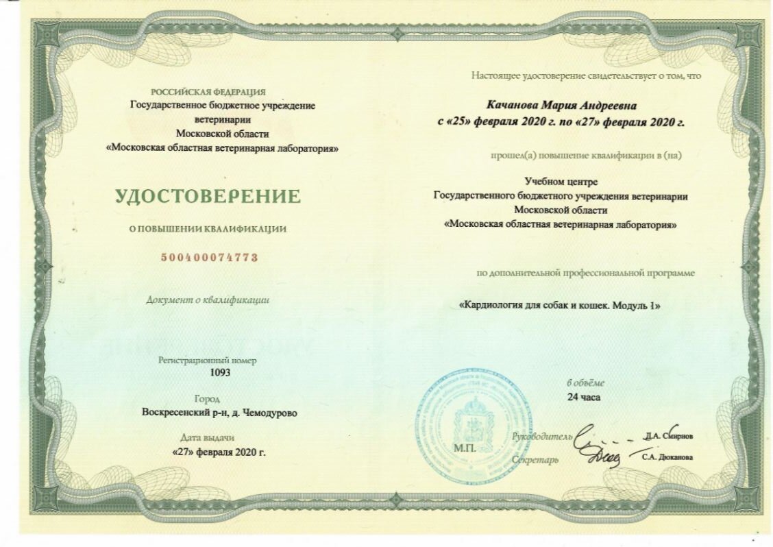 Документ или сертификат
