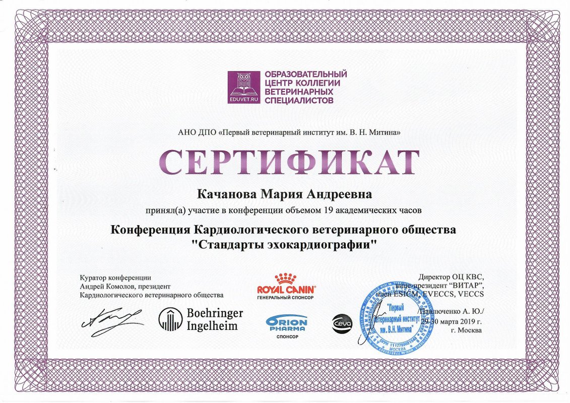 Документ или сертификат