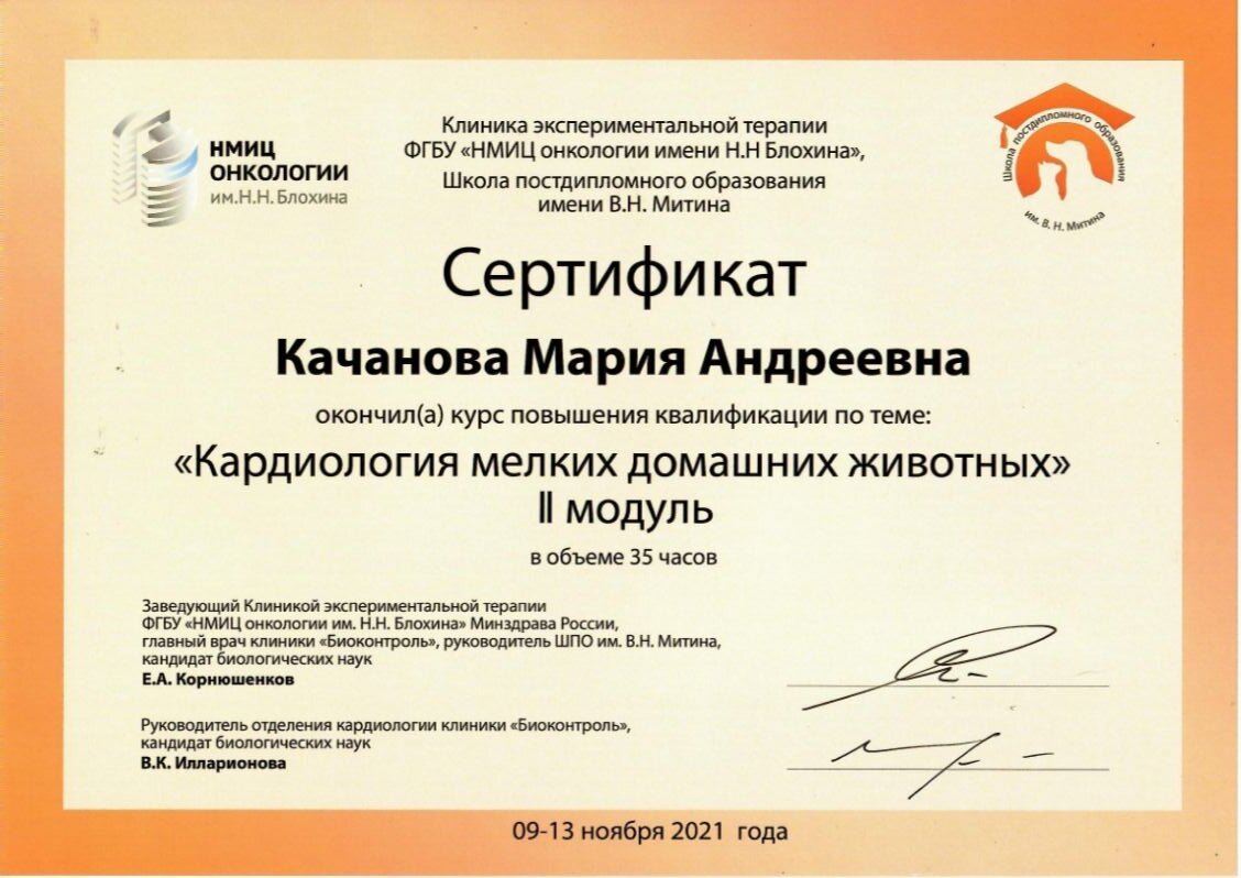 Документ или сертификат