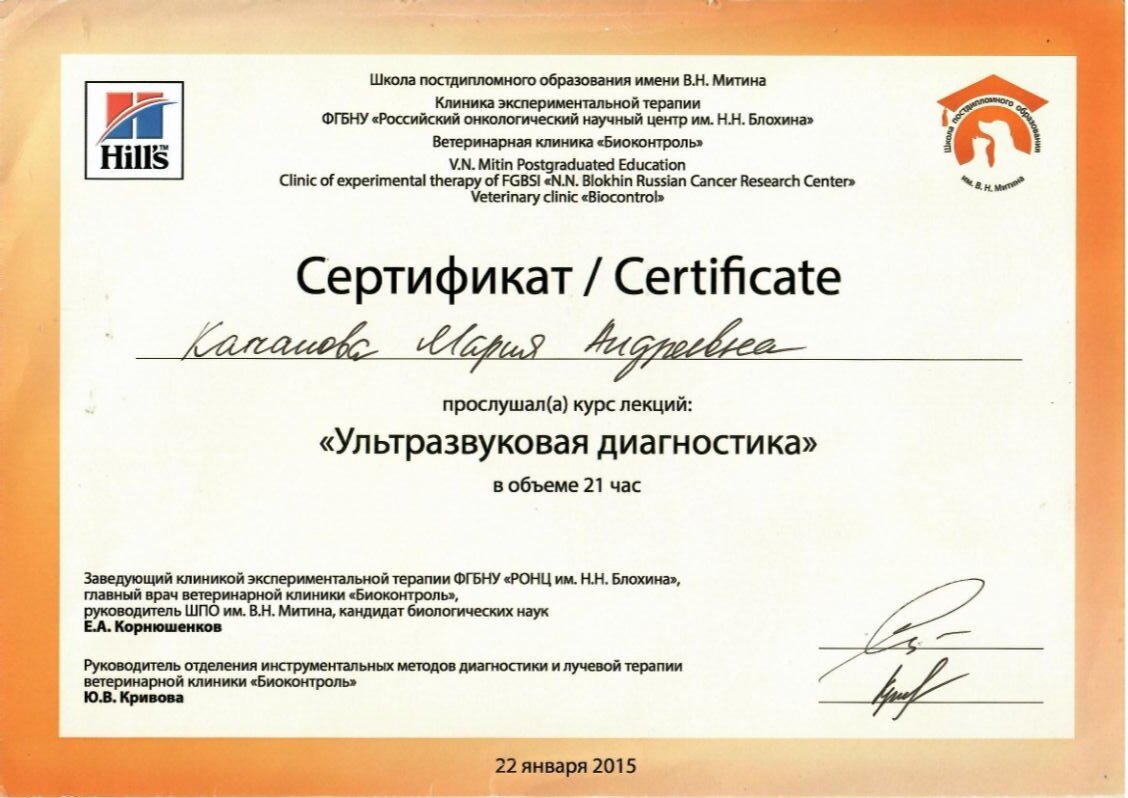Документ или сертификат