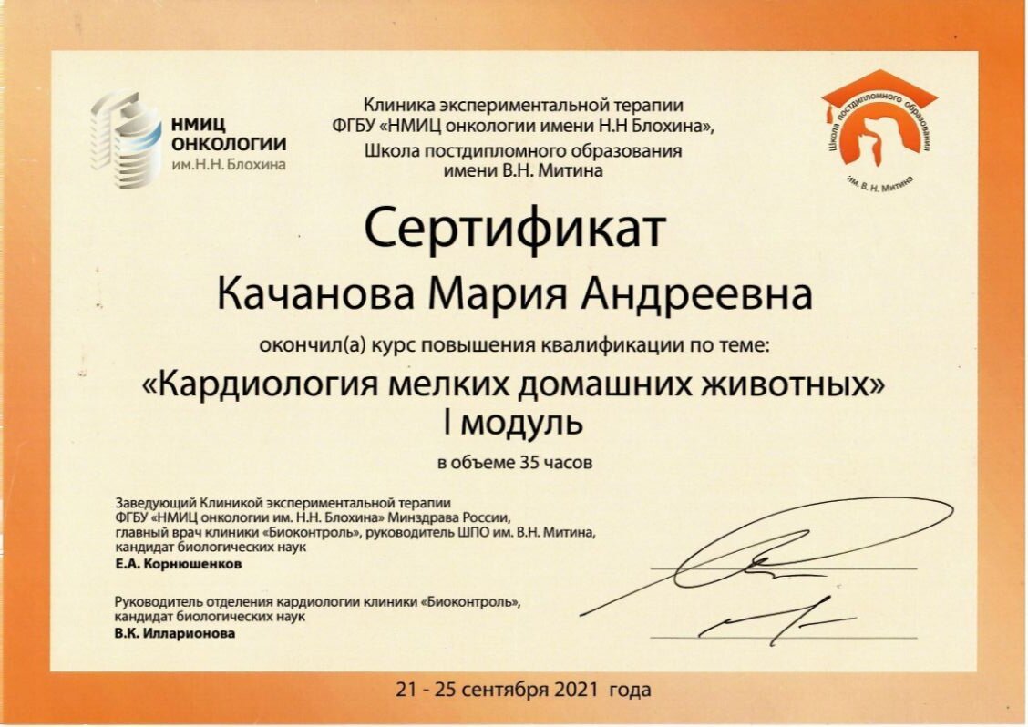 Документ или сертификат