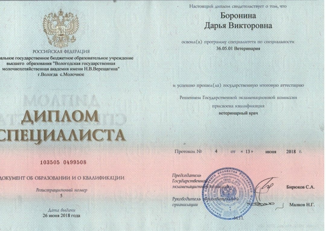 Фото врача