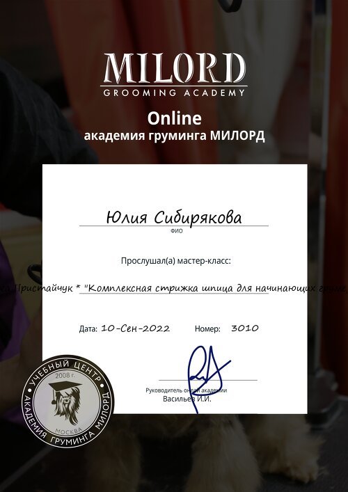 Документ или сертификат