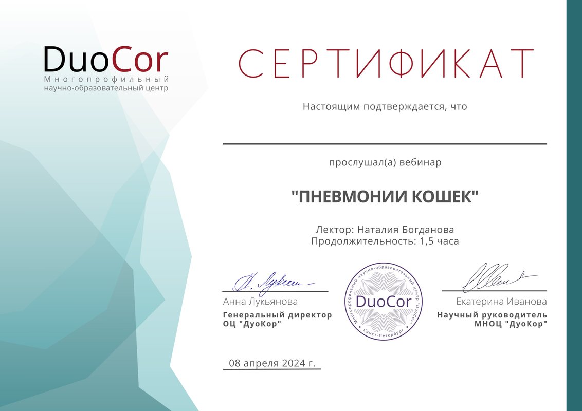 Документ или сертификат