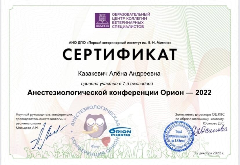 Документ или сертификат