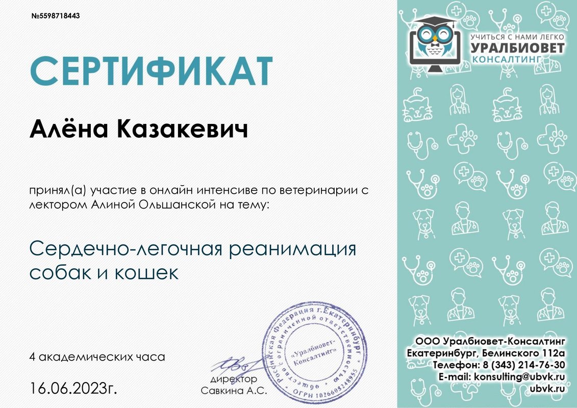 Документ или сертификат