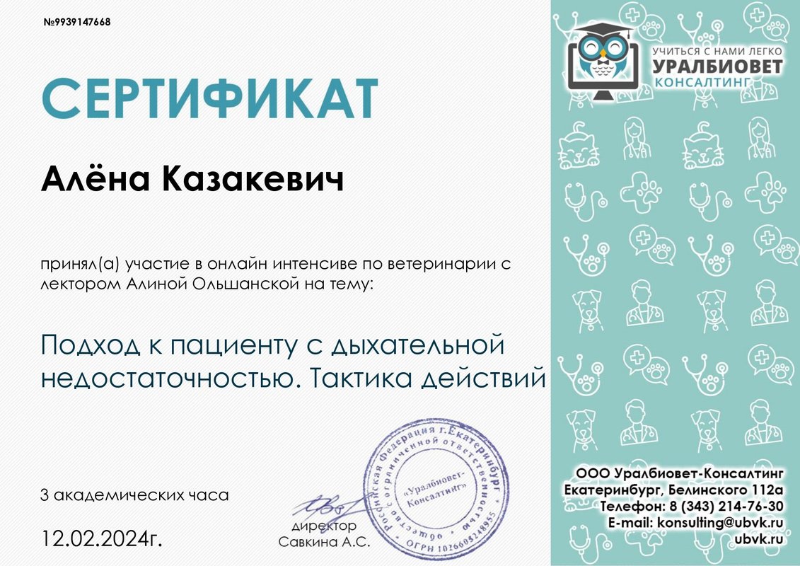 Документ или сертификат