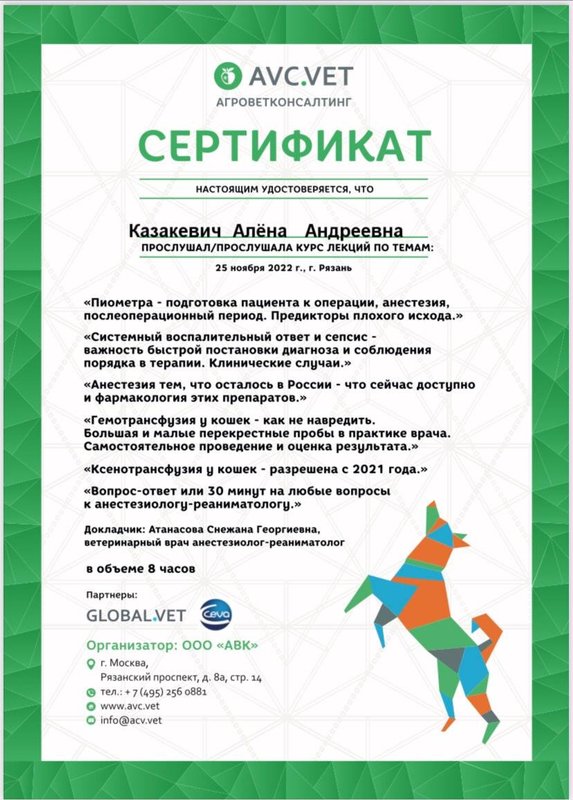 Документ или сертификат