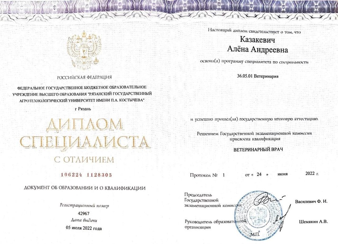 Документ или сертификат