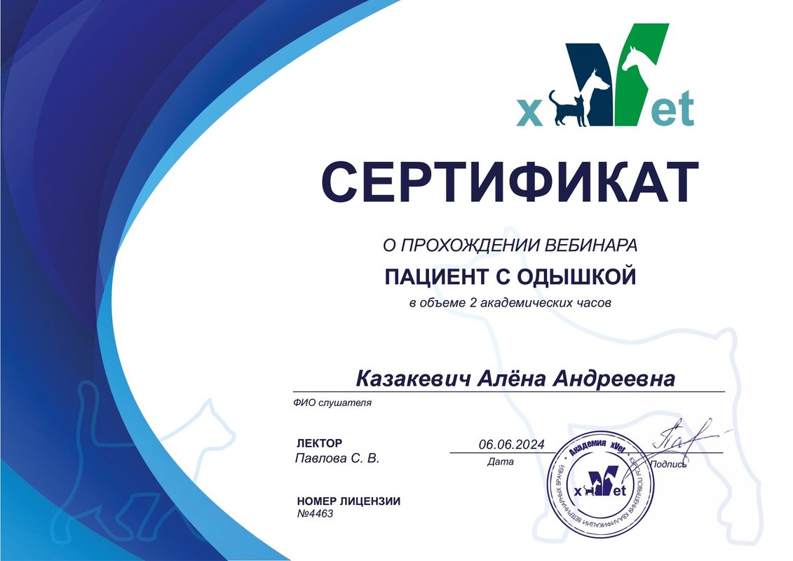 Документ или сертификат