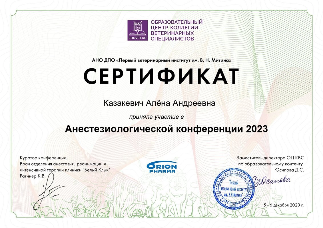 Документ или сертификат