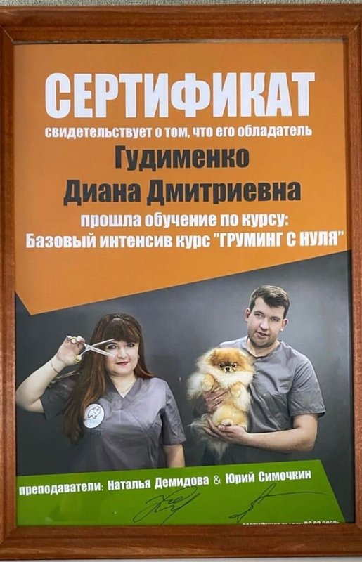 Документ или сертификат
