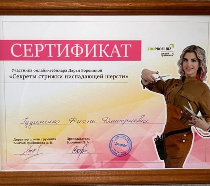 Документ или сертификат