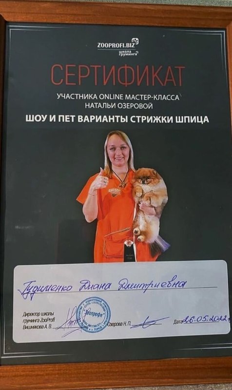 Документ или сертификат