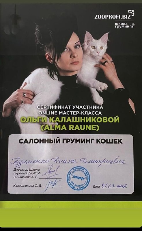 Документ или сертификат