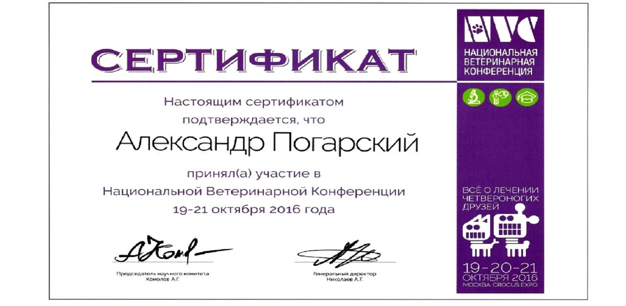 Документ или сертификат