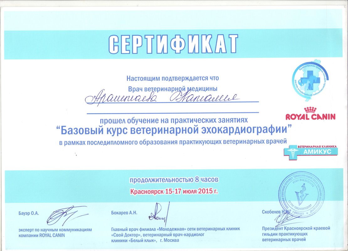 Документ или сертификат