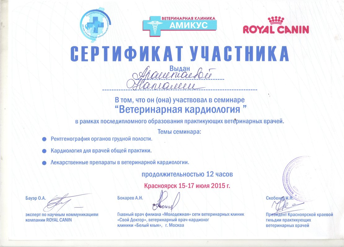 Документ или сертификат