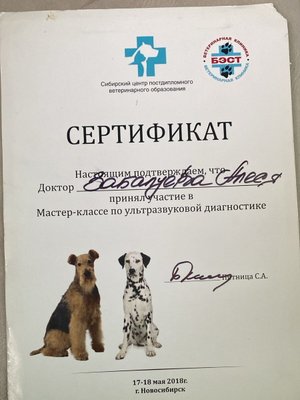 Фото врача Забалуева Алеся Анатольевна