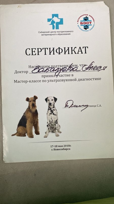 Документ или сертификат