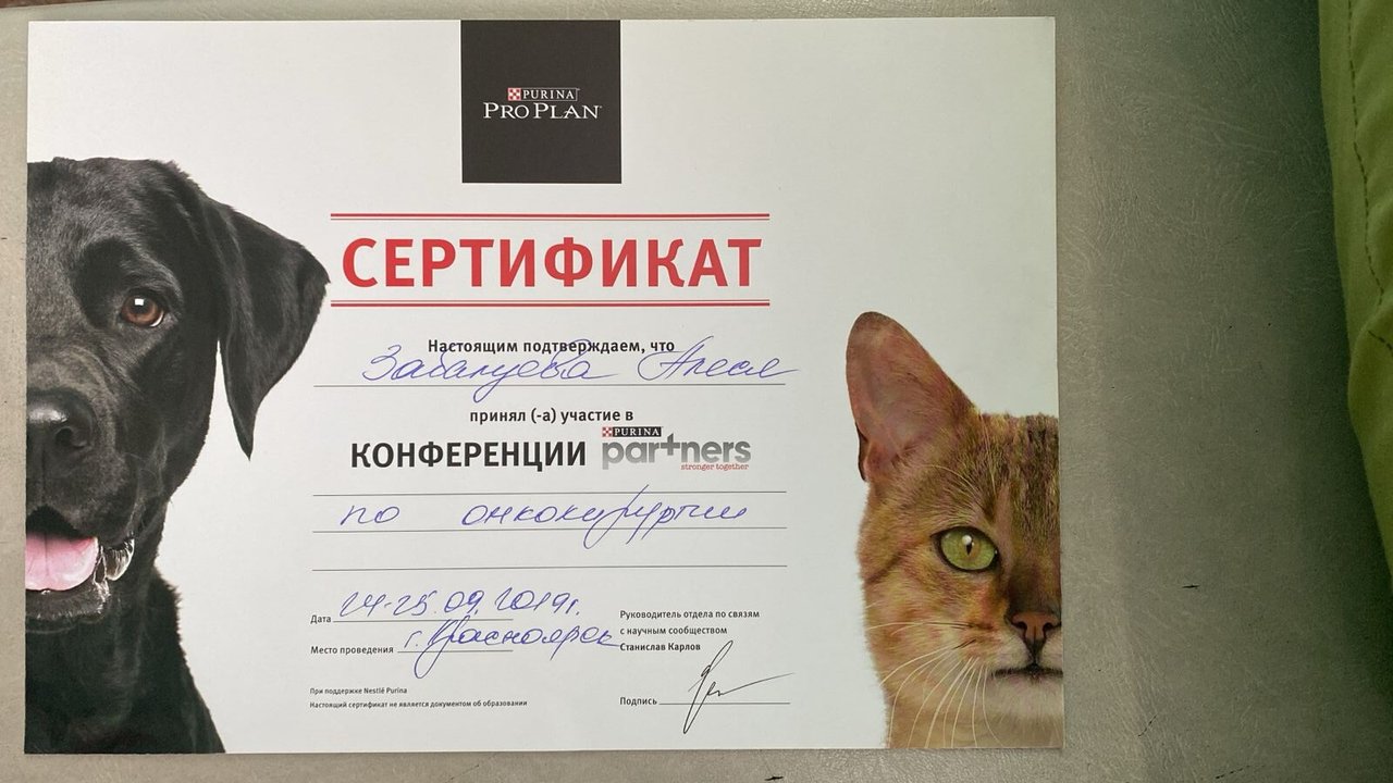 Документ или сертификат
