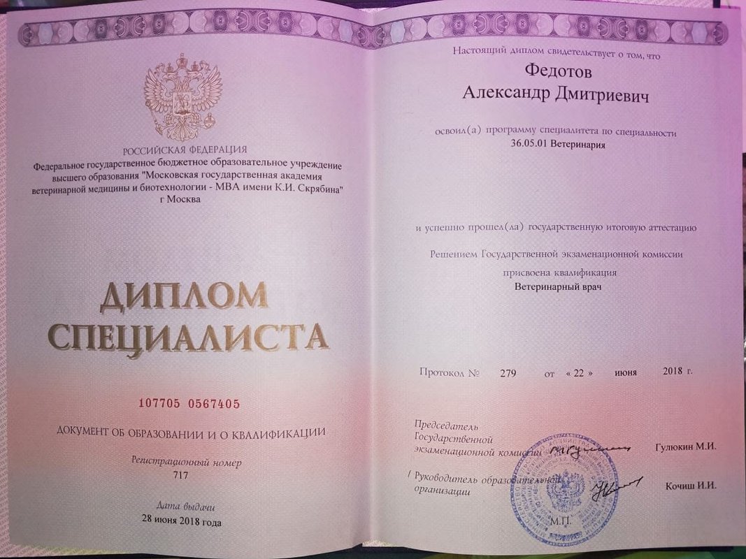 Документ или сертификат