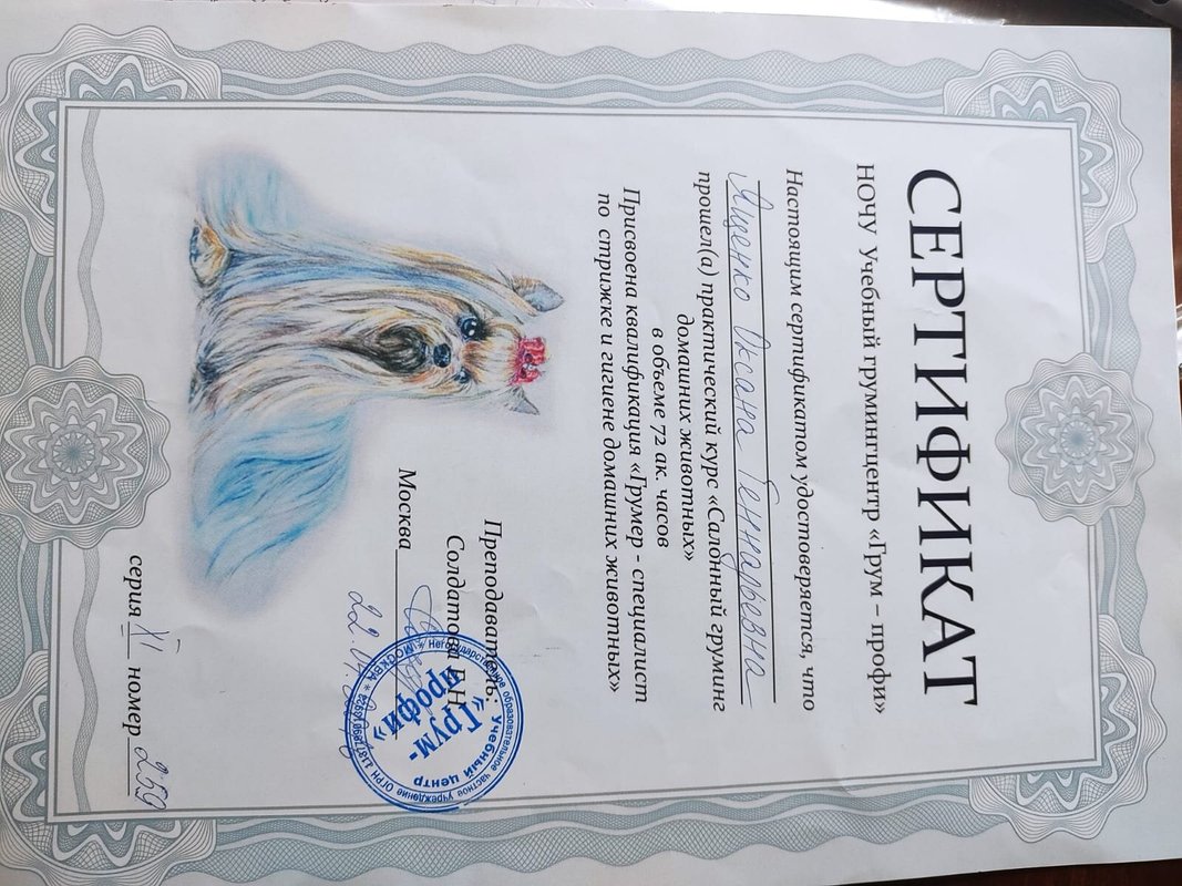 Документ или сертификат