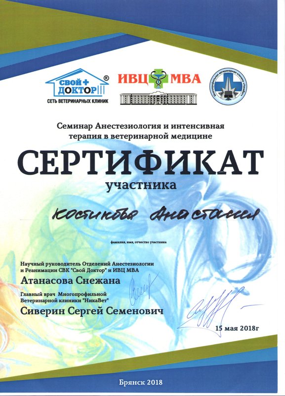 Документ или сертификат