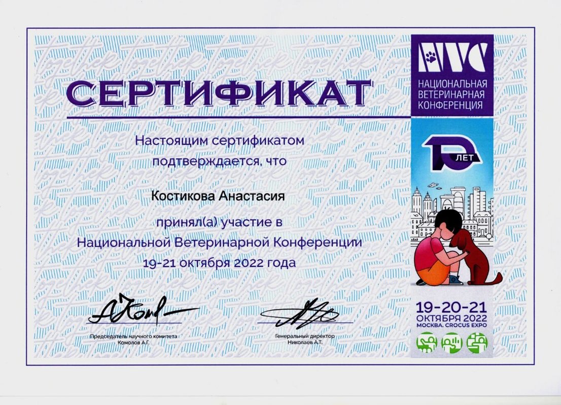 Документ или сертификат