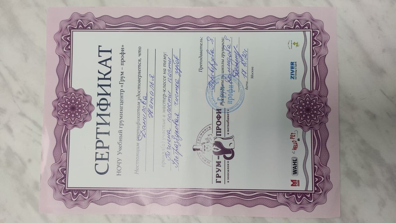 Документ или сертификат