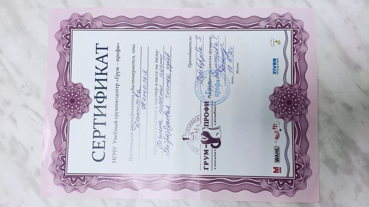 Документ или сертификат