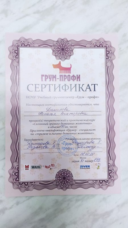 Документ или сертификат