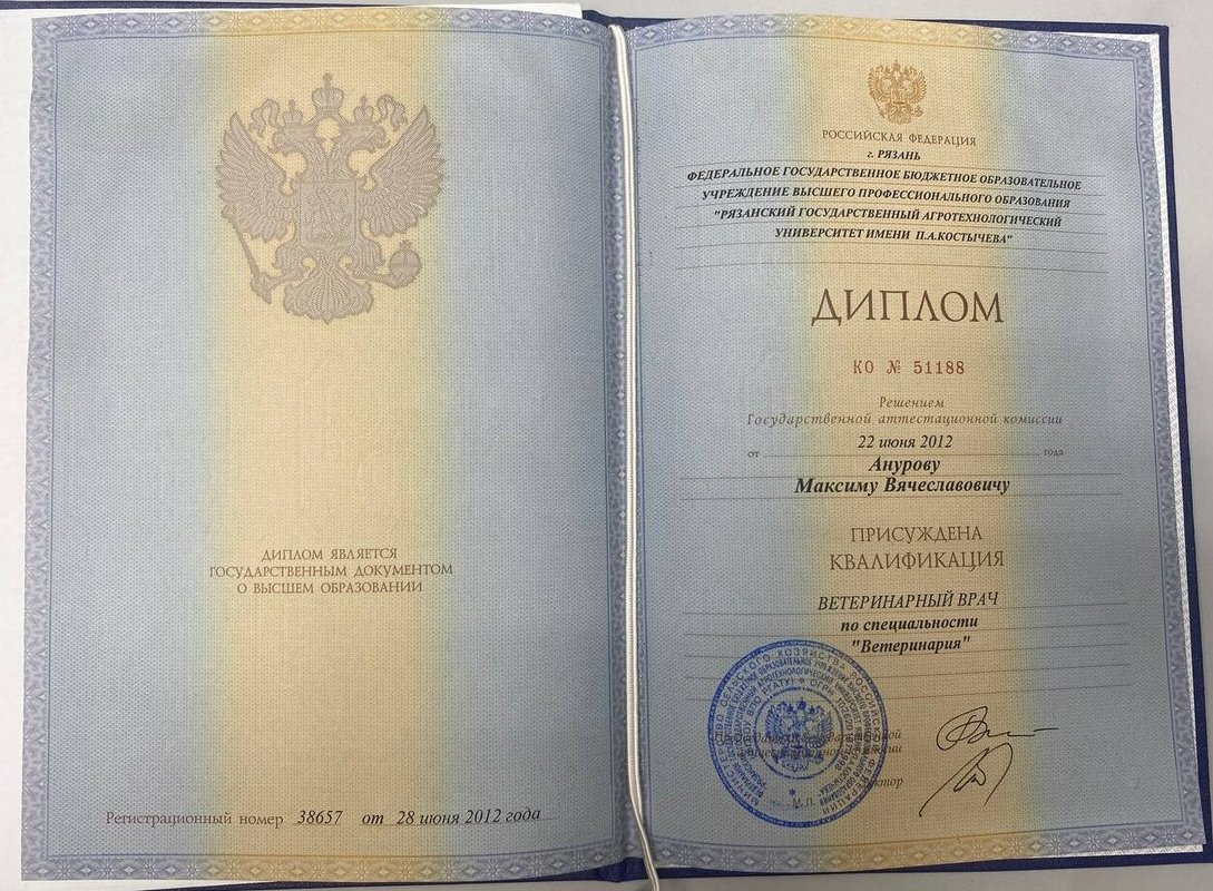 Документ или сертификат