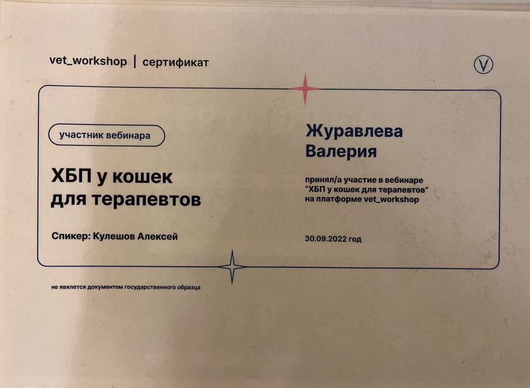 Документ или сертификат