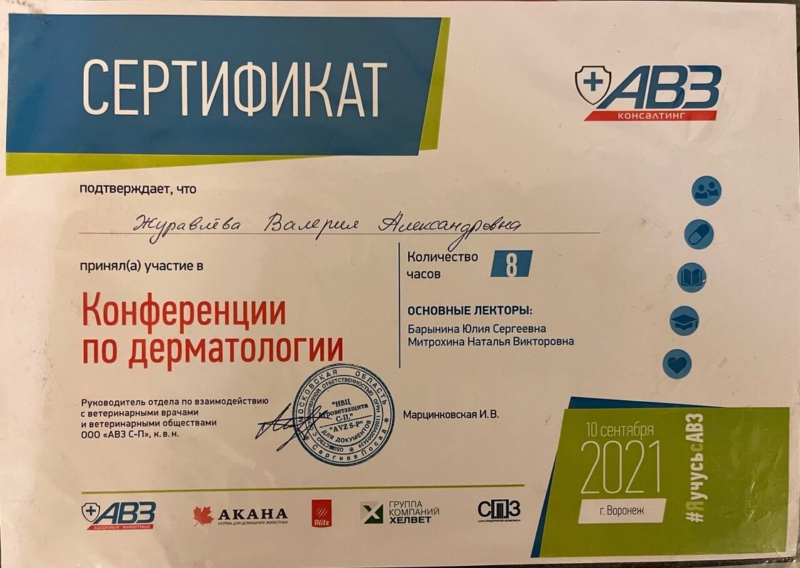 Документ или сертификат