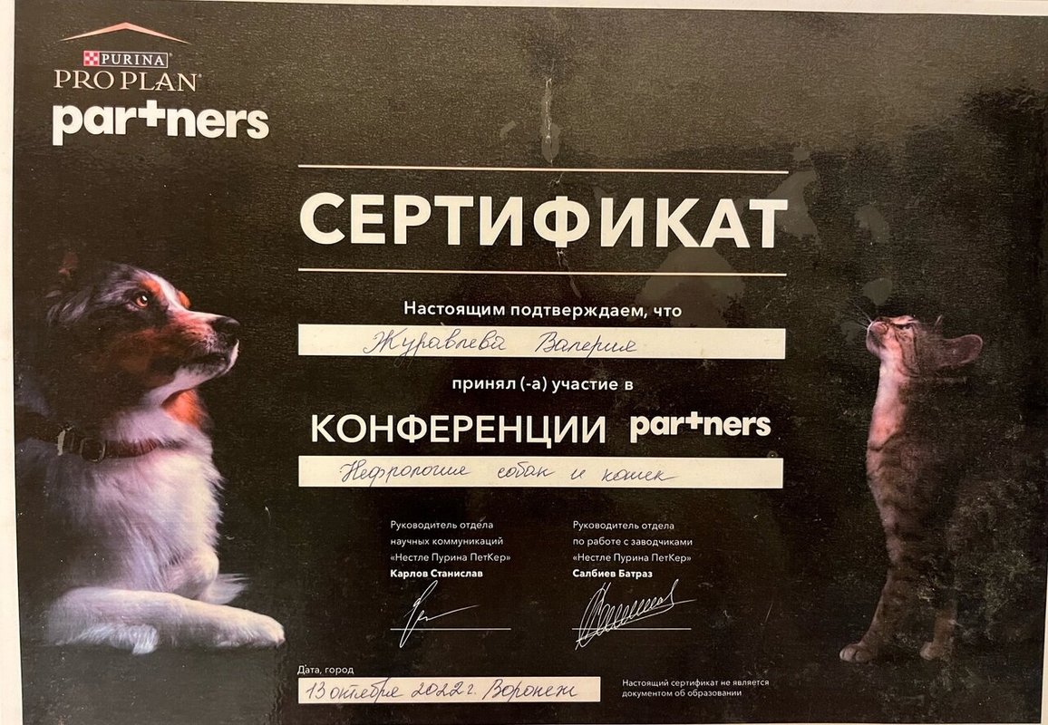 Документ или сертификат
