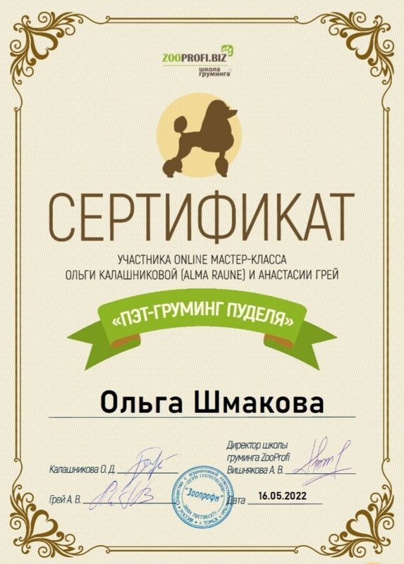 Документ или сертификат