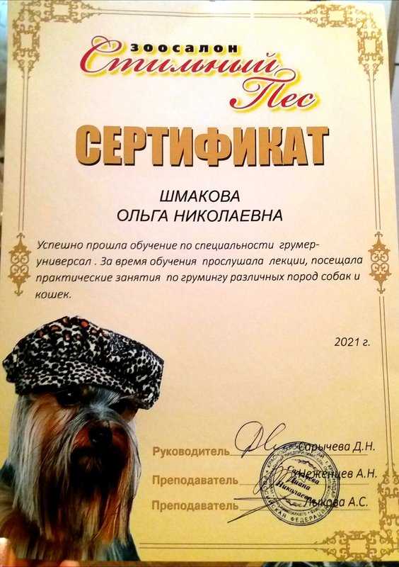 Документ или сертификат