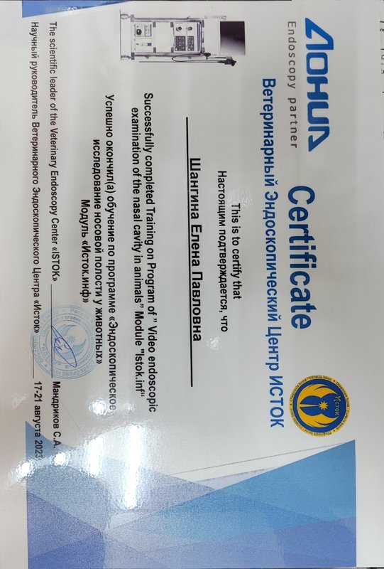 Документ или сертификат