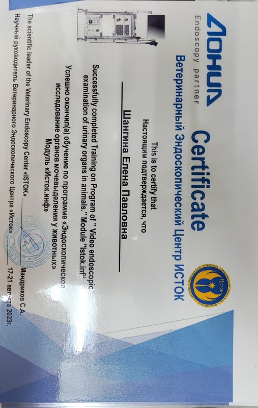 Документ или сертификат