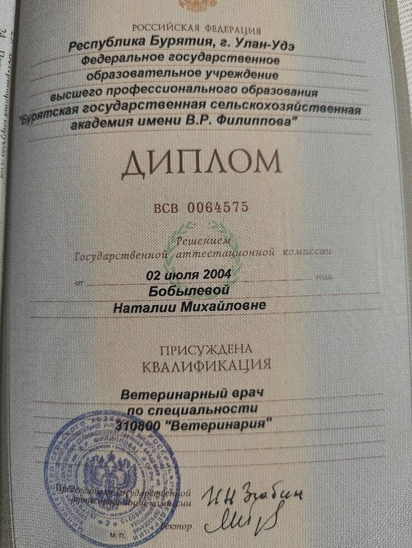 Документ или сертификат