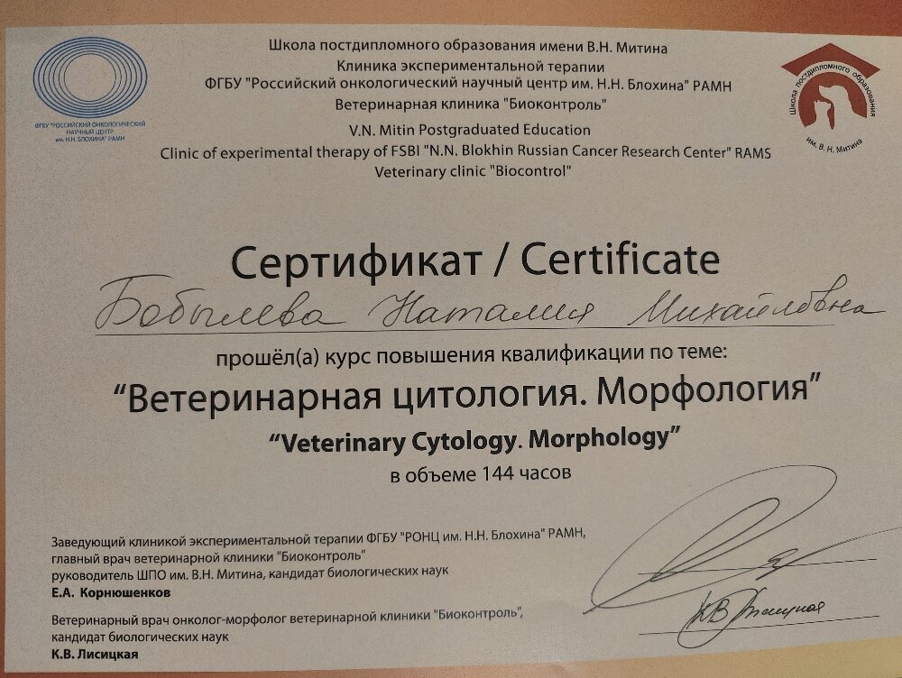 Документ или сертификат