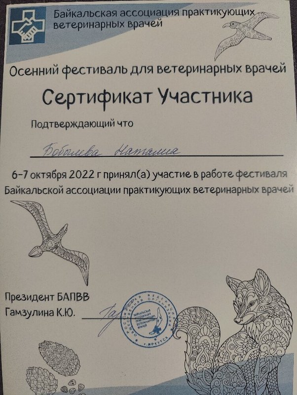 Документ или сертификат