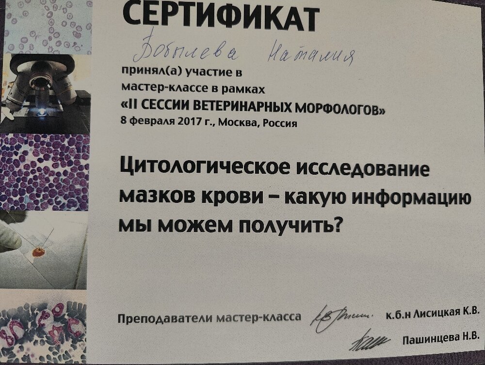 Документ или сертификат