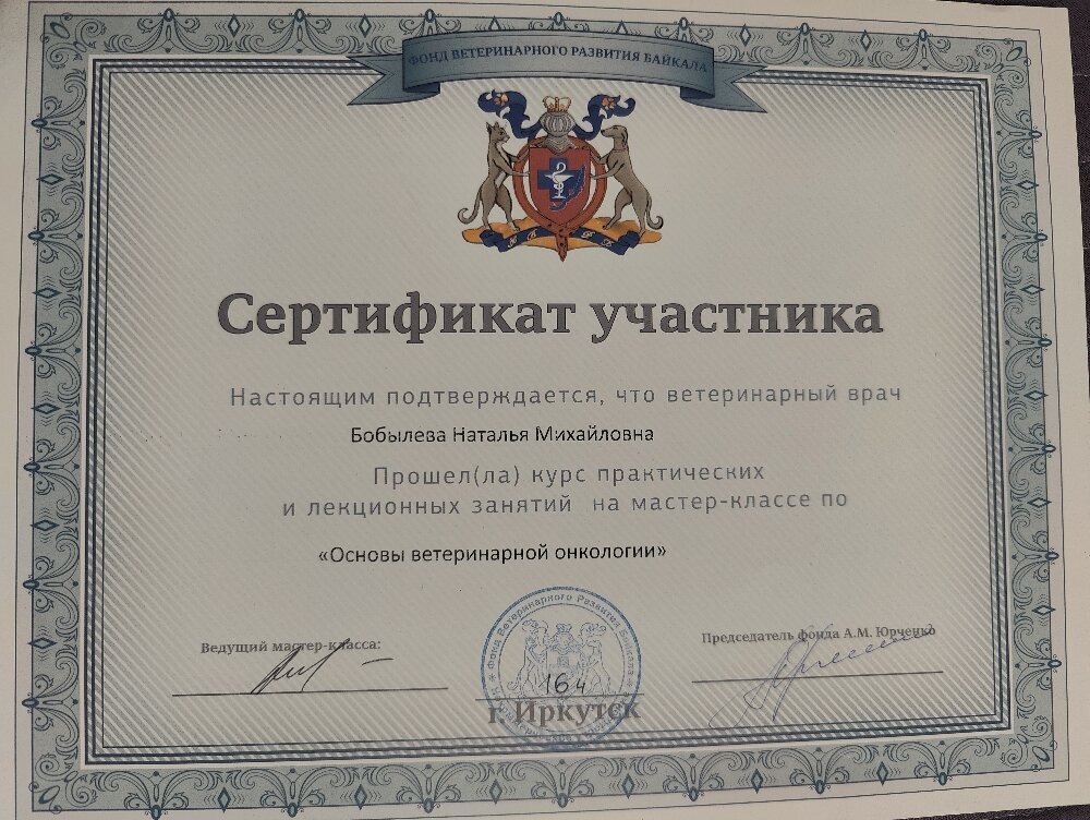 Документ или сертификат