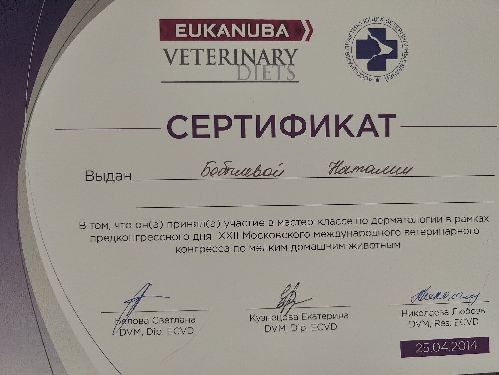 Документ или сертификат