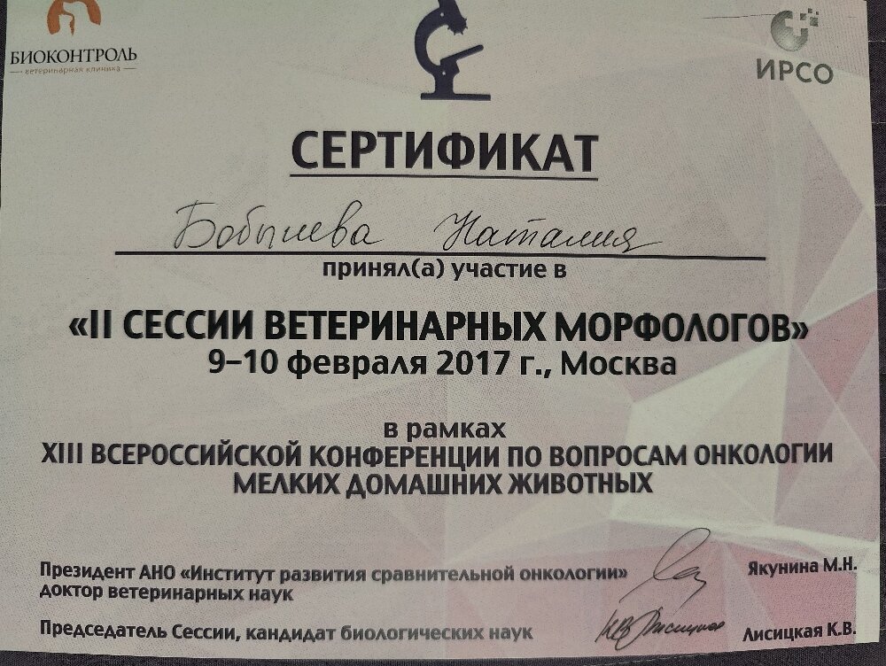 Документ или сертификат