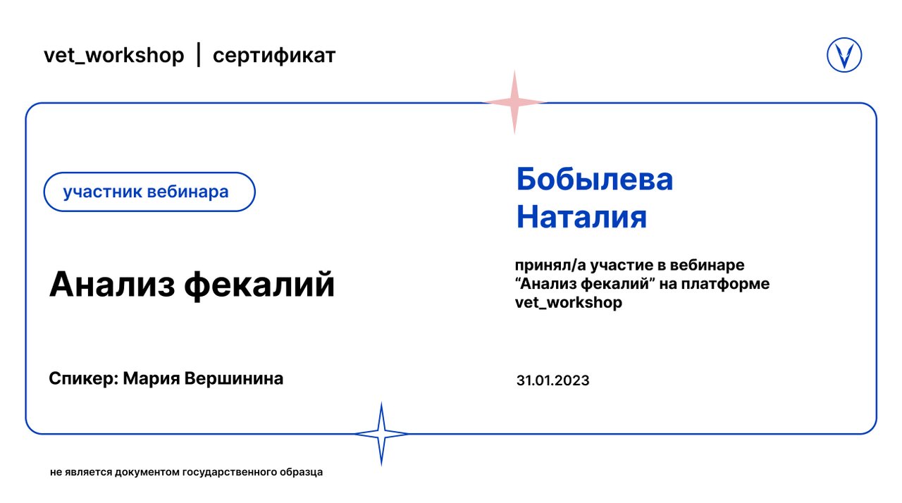 Документ или сертификат