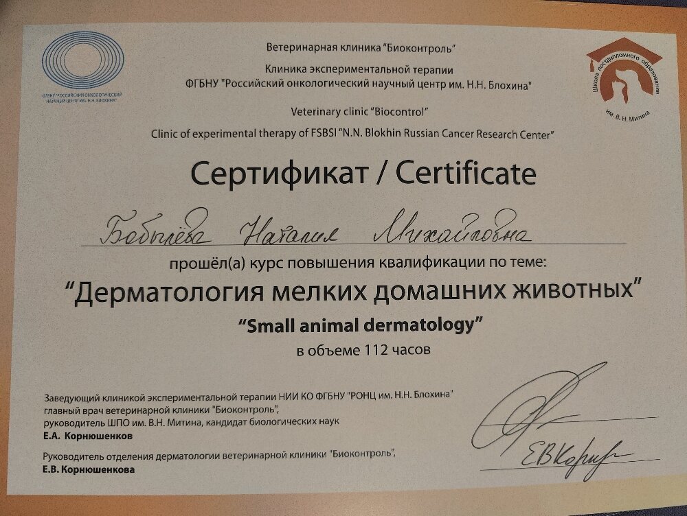 Документ или сертификат