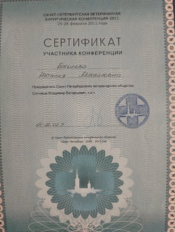 Документ или сертификат